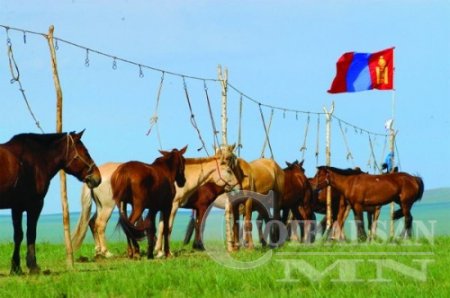 Дэлхийн 2-р дайнд онцгой үүрэг гүйцэтгэсэн “Монгол морьд”