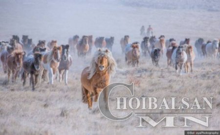 МОНГОЛ АДУУ ИХ БРИТАНИЙН ХЭВЛЭЛҮҮДИЙГ ЧИМЭВ