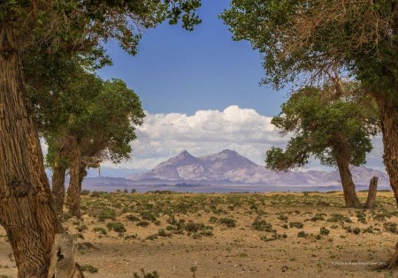 Ээж хайрхан уул /ФОТО/