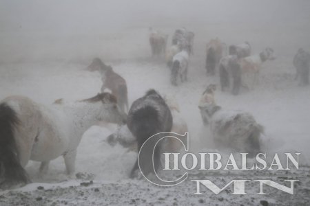 Танкинд чирэгдсэн минь