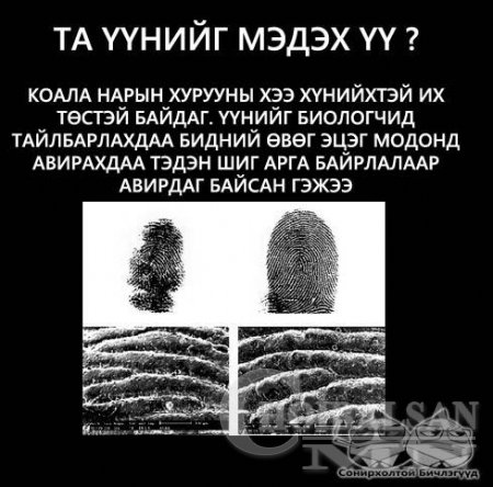 Ертөнцийн сонин хачин, та үүнийг мэдэх үү /фото/
