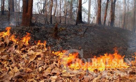 Гал түймрийн аюулаас сэрэмжүүллээ