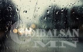 БОРООНЫ ТУХАЙ ТАНЫ МЭДЭХГҮЙ ЗҮЙЛС