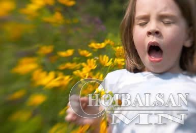 Эмзэг бие махбодтой хүмүүс харшилд илүү өртөмтгий