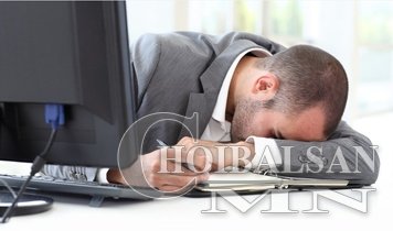 ОФФИС ДЭЭРХ ЗУНЫ ЗАЛХУУРАЛТАЙ ХЭРХЭН ТЭМЦЭХ ВЭ