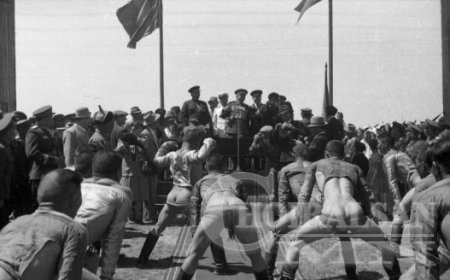 1984 оны наадам