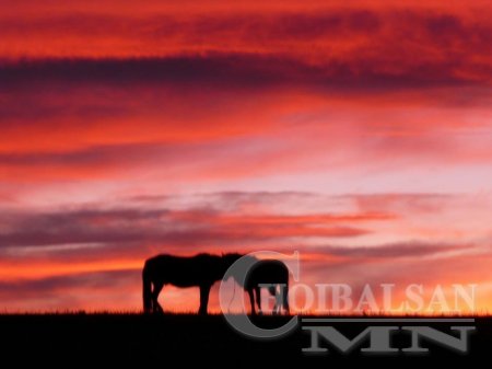 Монголын сайхан орноор... /ФОТО/