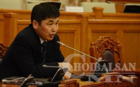 О.Баасанхүүгийн бачимдал