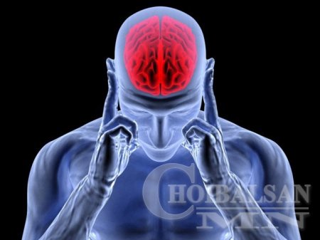 Тархиа хэрхэн амраах вэ