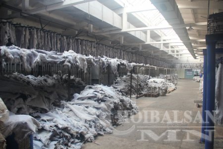 Хонины нэхий, арьс ширний үнэ нэмэгдэх боломжтой боллоо