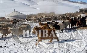Дорнод, Говь-Алтай, Хөвсгөл, Сүхбаатар аймгуудад гурван сая ам.долларын төсөл хэрэгжүүлнэ