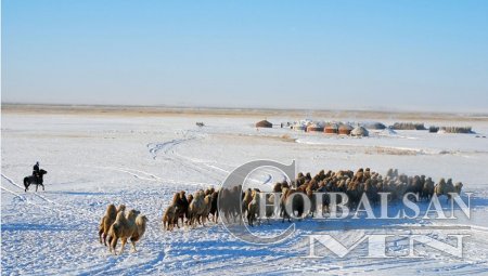 Бичин жил яагаад ЗУД болдог вэ?