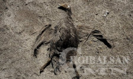 Боливын хоёр дахь том нуур дахин хэзээ ч сэргэхгүйгээр ширгэжээ