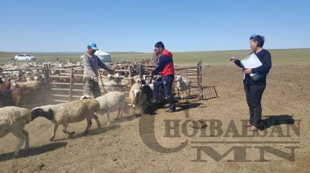 ШИЛЖИН ЯВАХ МАЛЖУУЛАХ ТӨСӨЛ МАТАД СУМАНД ХЭРЭГЖИЖ БАЙНА