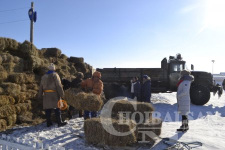 ОХУ-аас 51 мянган тонн өвс, тэжээл импортолно