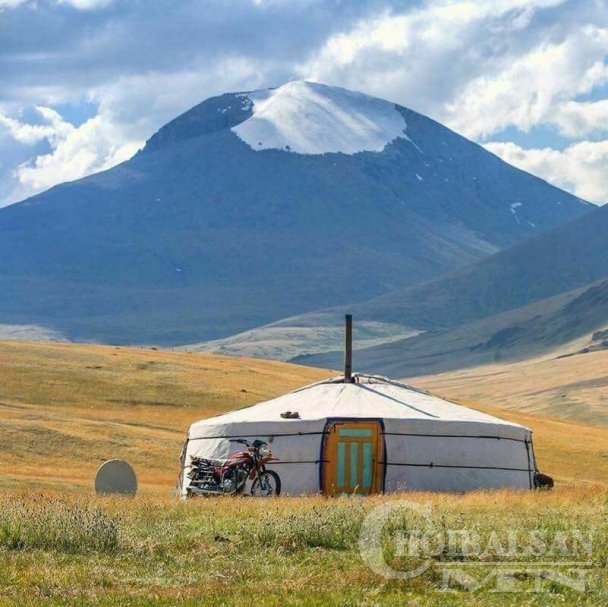 Тарвага агнахаа больсон минь
