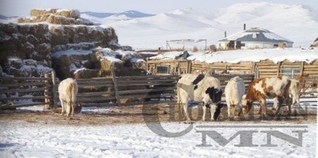 Бэлэнчлэх сэтгэлгээтэй Монгол малчид