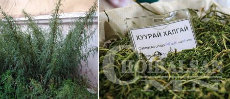 ТАВДУГААР САРЫН ХАЛГАЙГ ХҮНСЭНДЭЭ ХЭРЭГЛСЭНЭЭР ЯДАРГАА ТАЙЛАГДДАГ