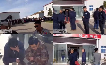 Дорнод аймгийн Дашбалбар суманд үйл ажиллагаа явуулдаг Шинь Шинь ХХК-ын бодит байдал