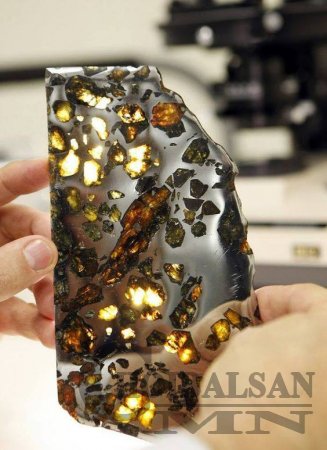 Дэлхий дээр унаж байсан ховор солирууд