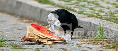 ХЭРЭЭНҮҮДЭЭР ХОГ ТҮҮЛГЭЖ СУРГАЖЭЭ