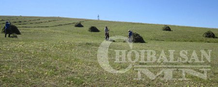 Өвөлжилтийн бэлтгэл хамгийн сайн хангасан аймаг, сум, баг, фермер, малчдын бүлэг, хоршоог шалгаруулна
