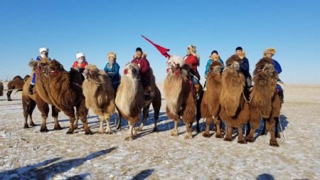Тэмээн соёл-2019 арга хэмжээ Булган суманд зохион байгуулагдаж байна