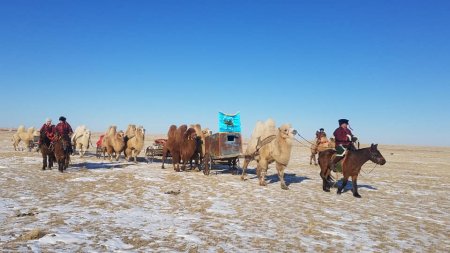 Тэмээн соёл-2019 арга хэмжээ Булган суманд зохион байгуулагдаж байна