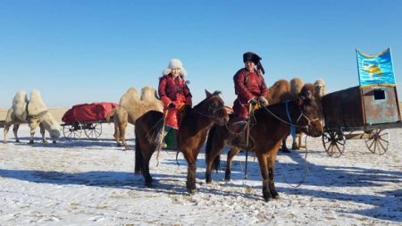 Тэмээн соёл-2019 арга хэмжээ Булган суманд зохион байгуулагдаж байна