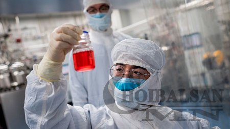 Оросын хүн амын дунд сүргийн дархлаа тогтсон эсэхийг судлах хоёр дахь үе шат эхэлжээ