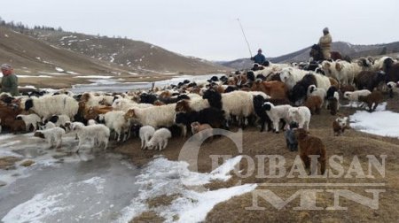 Нэг малчинд ноогдох ажлын ачаалал зургаа дахин нэмэгджээ