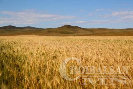 Тариалалт 74.5 хувийн гүйцэтгэлтэй үргэлжилж байна