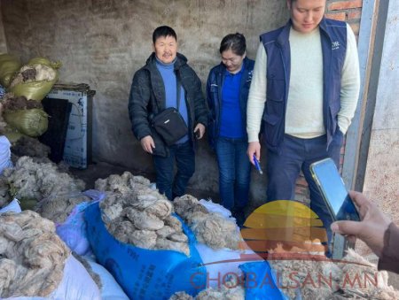 Дорнод аймгийн Матад сумын ноолуур дуудлага худалдаагаар 173.500 төгрөгөөр арилжигдлаа