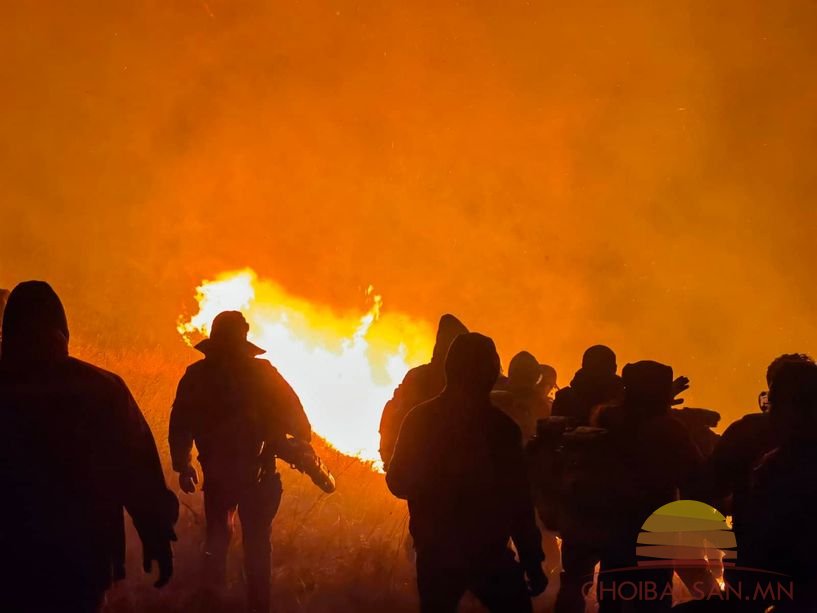 Халхголд гарсан түймрийн улмаас тас, дагуур зараа зэрэг 52 амьтан шатжээ